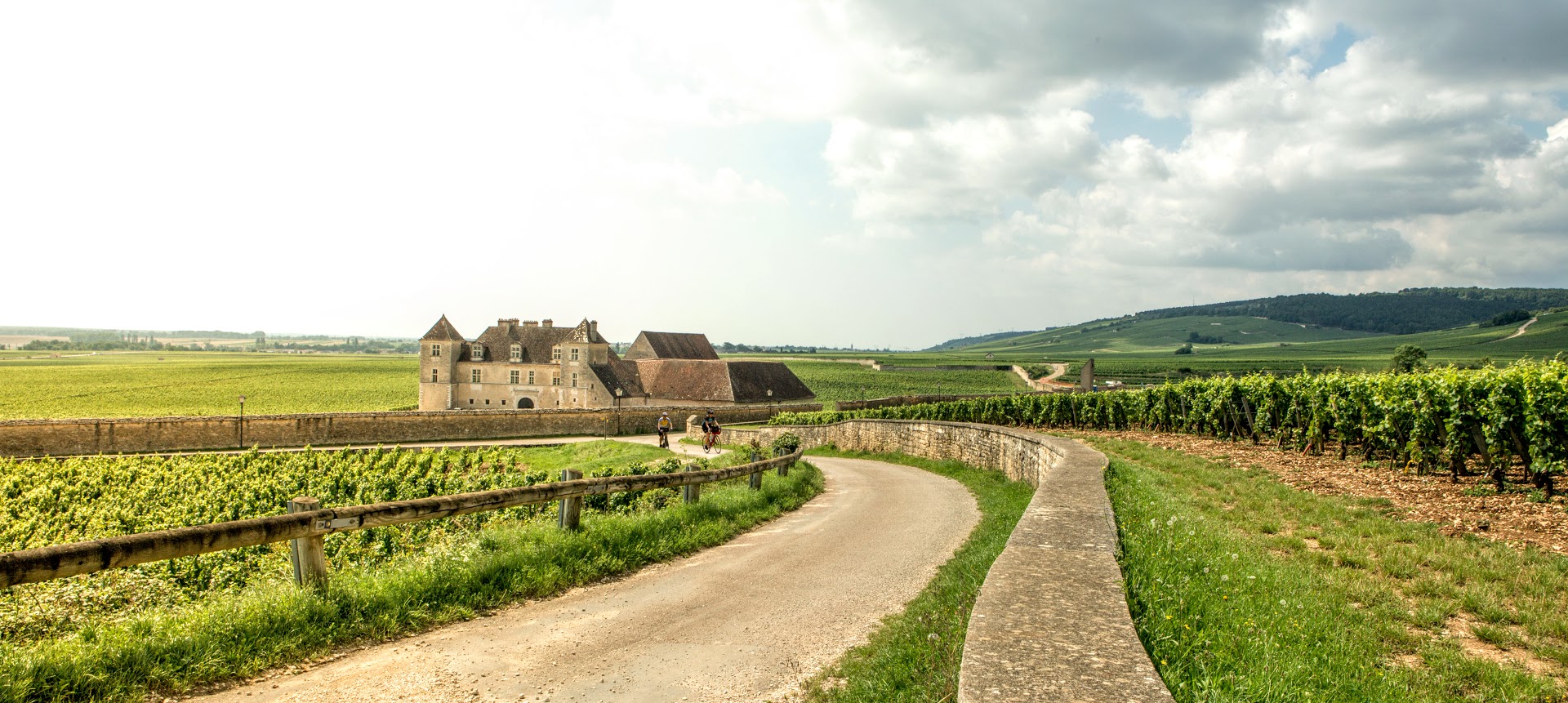 Burgundy image