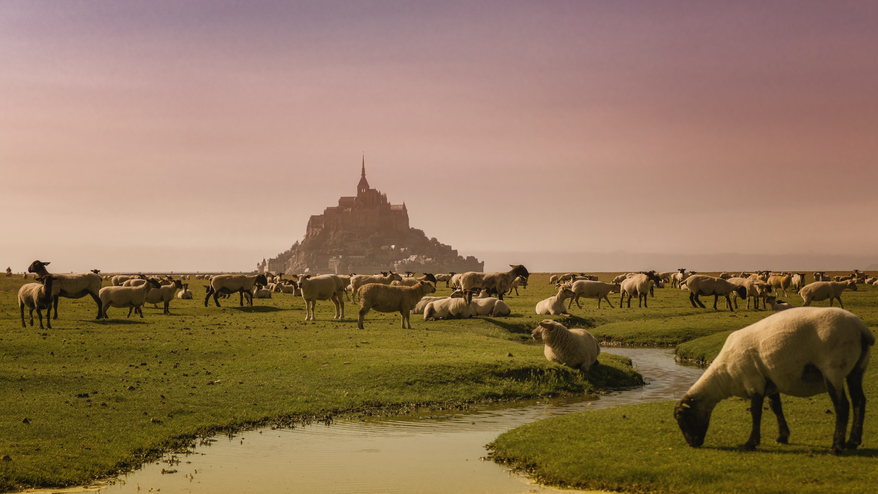 Normandy image