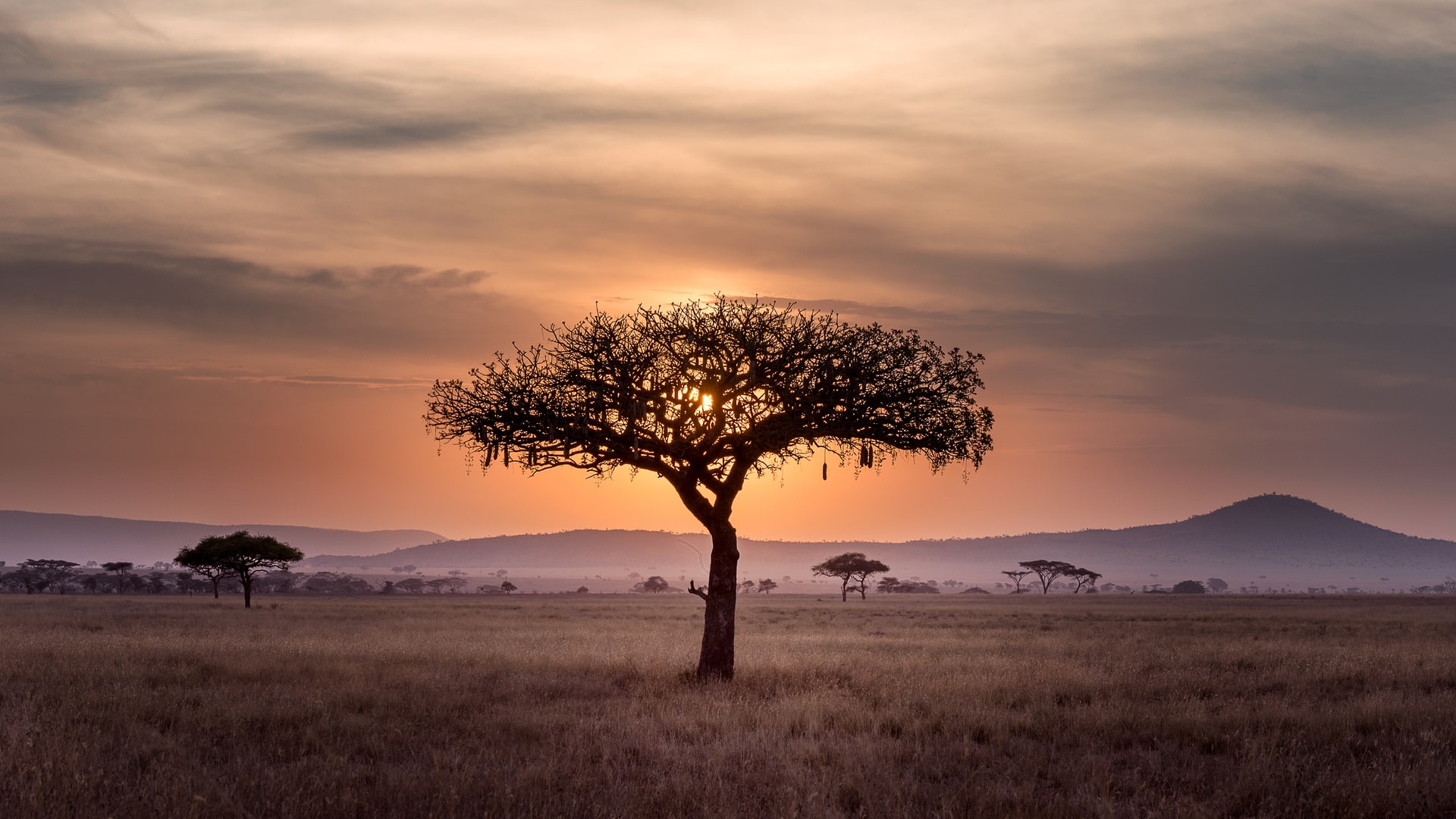 Rwanda image