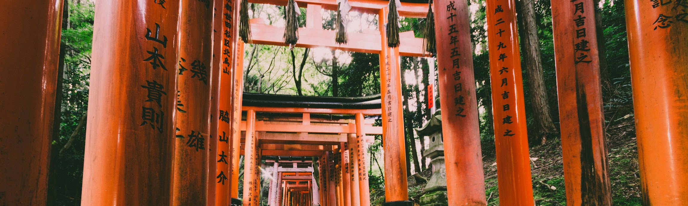 Asia image