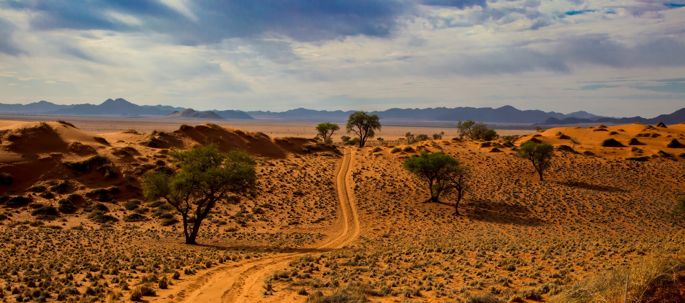 Namibia image