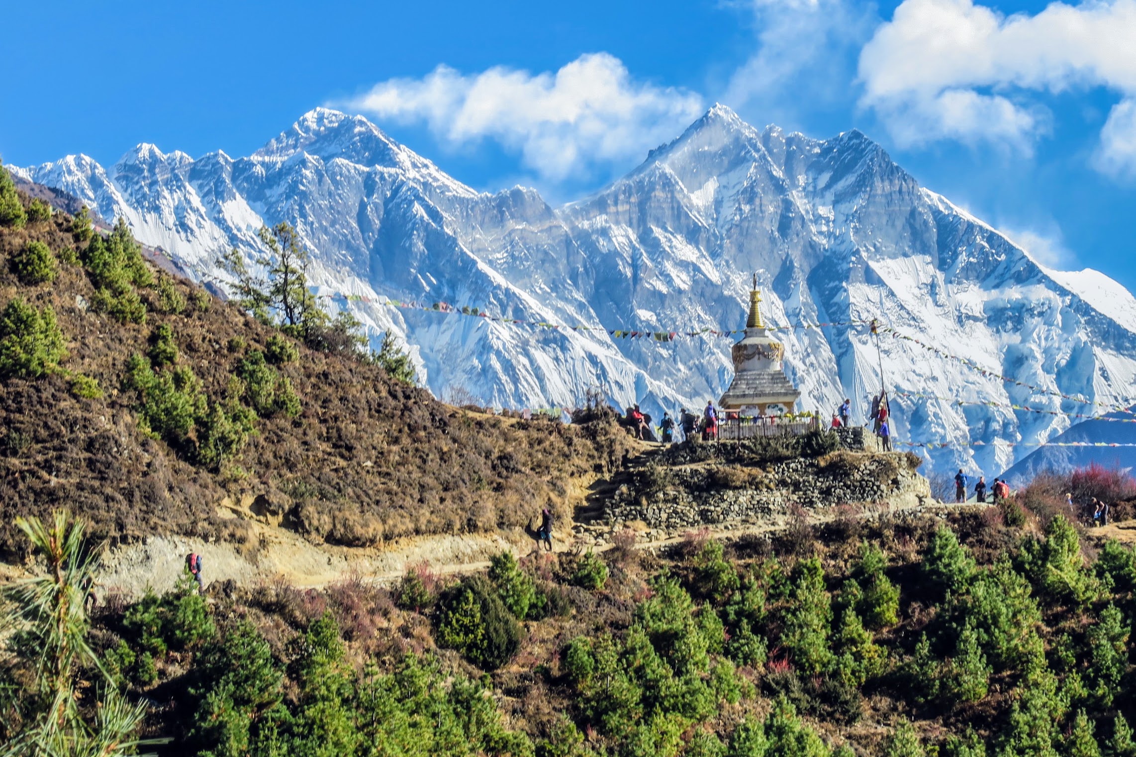 Nepal image