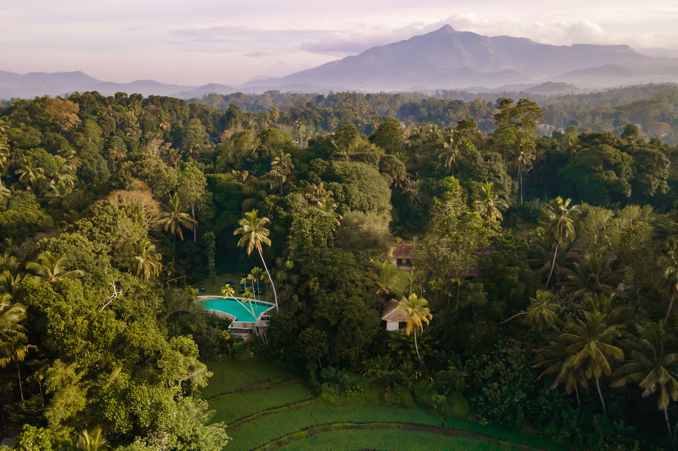 Sri Lanka image