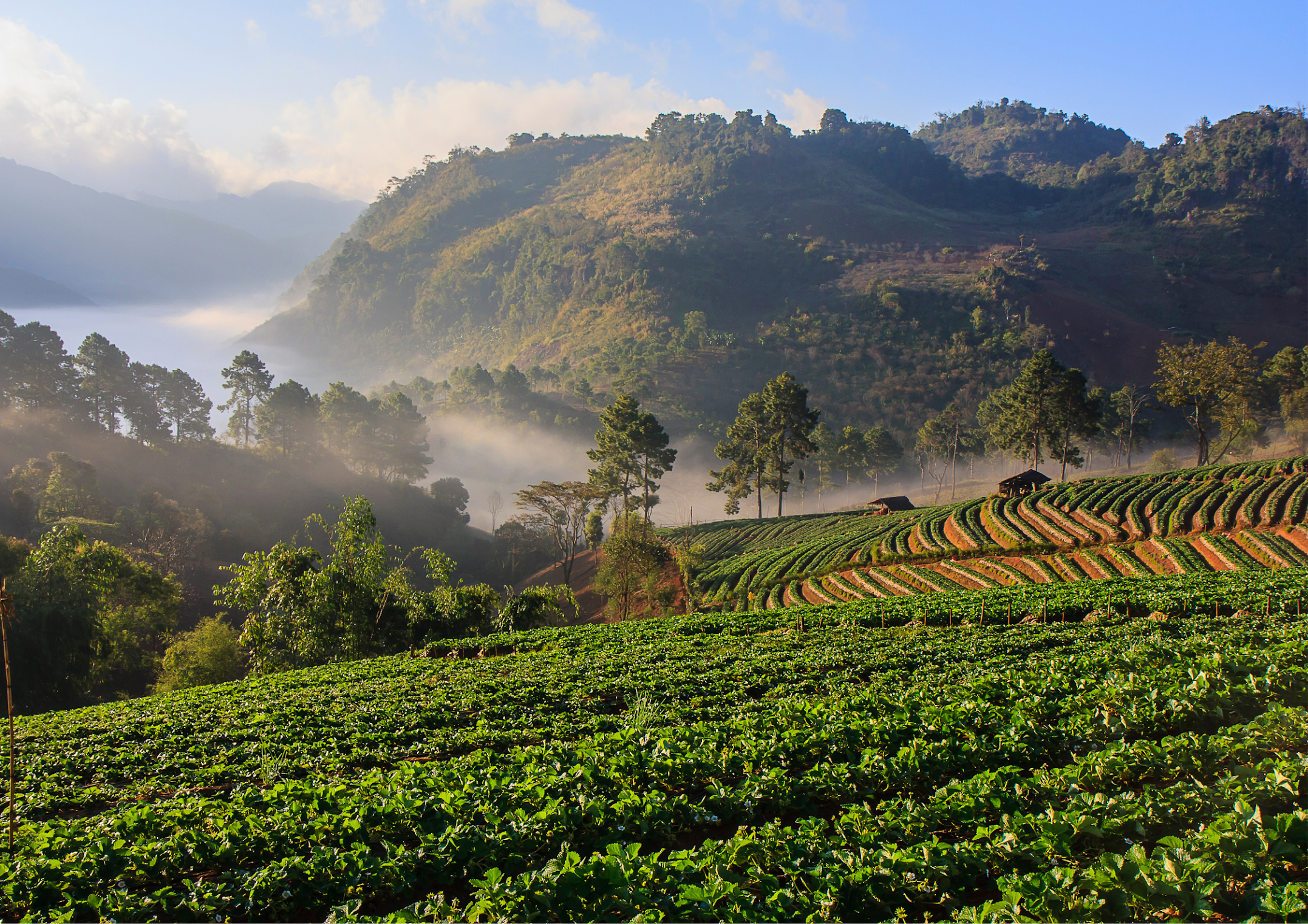 Thailand image