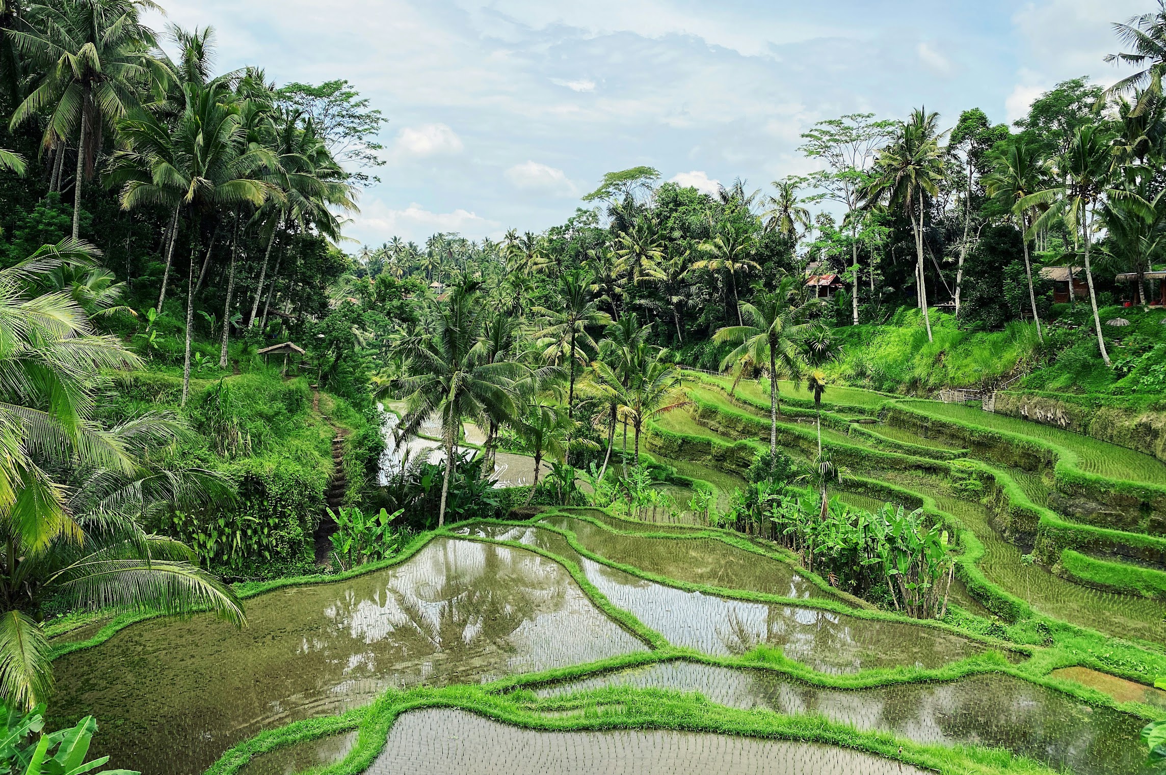 Indonesia image