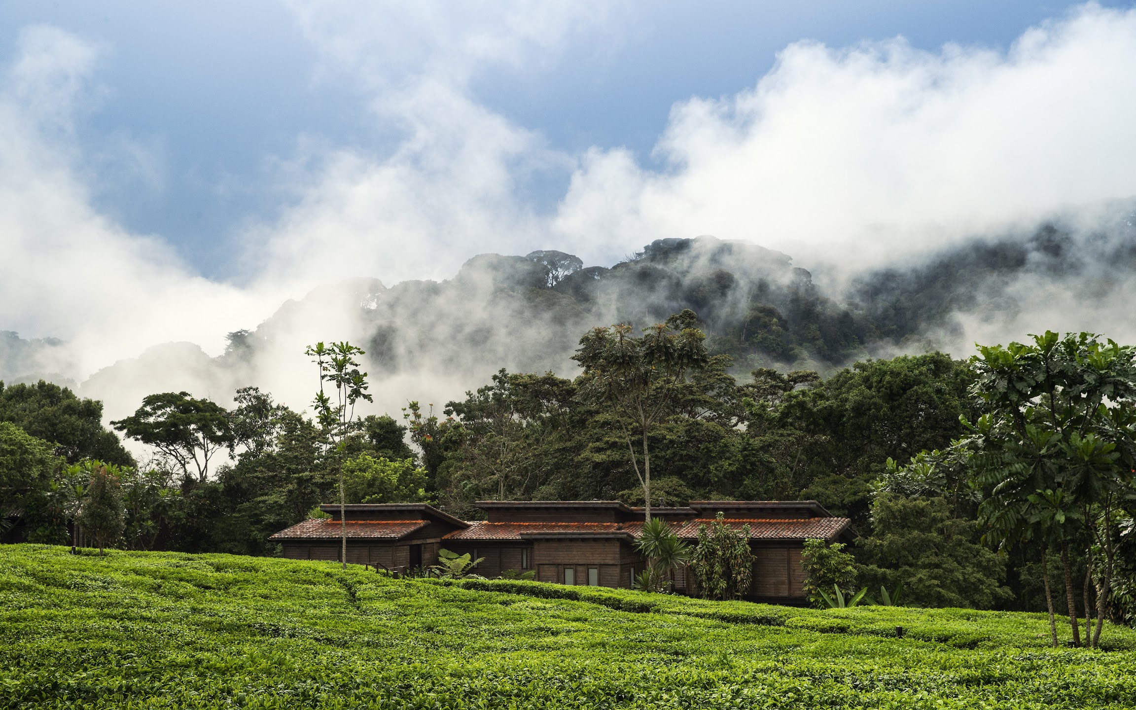 Rwanda image