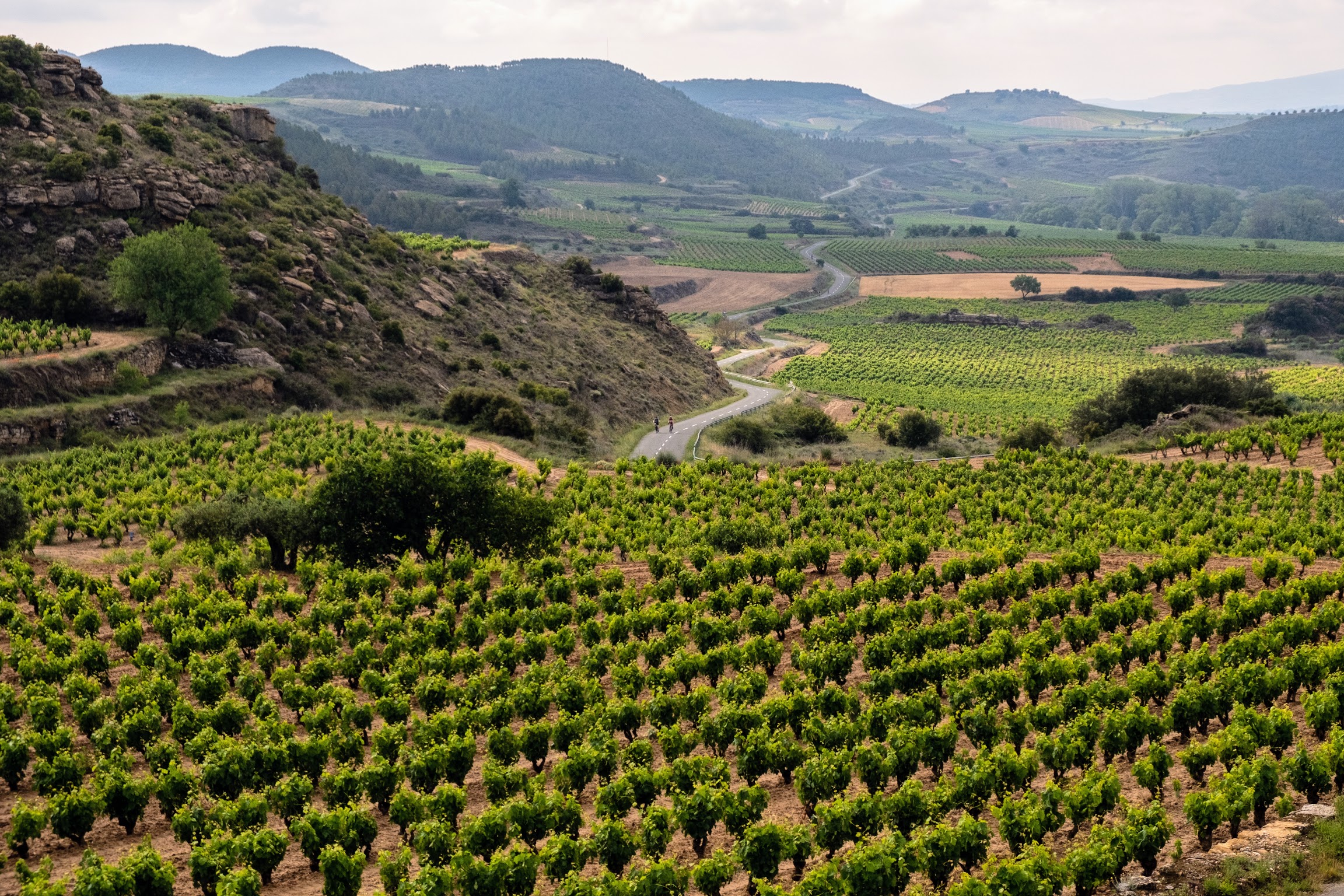Rioja image